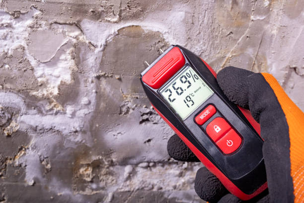 Best Emergency Mold Remediation in Somonauk, IL