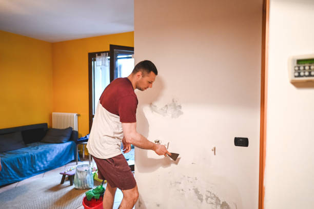 Best Crawl Space Mold Remediation in Somonauk, IL